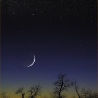 Night Descending - Vivian Mcaleavey